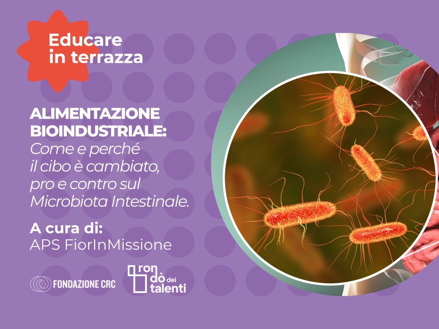 Come e perché il cibo è cambiato, pro e contro sul Microbiota Intestinale.