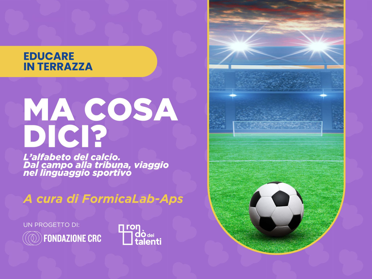 Ma cosa dici  L’alfabeto del calcio. Dal campo alla tribuna, viaggio nel linguaggio sportivo