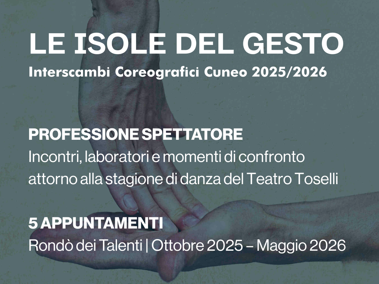 professione spettatore