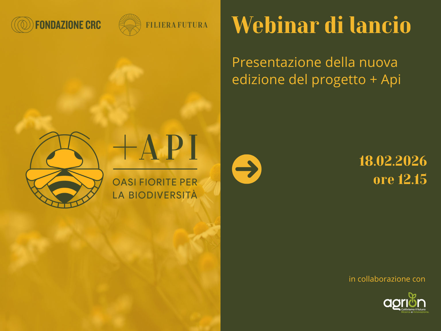 Webinar di presentazione del progetto +Api