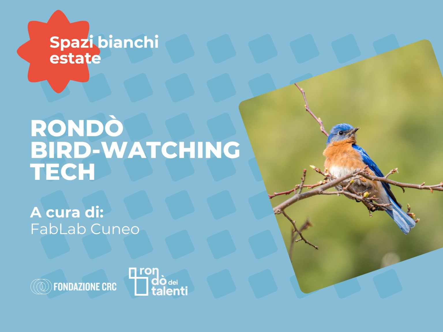 Rondò  Bird Watching  Tech