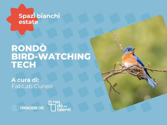 Rondò  Bird Watching  Tech